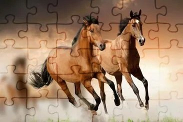 CABALLOS SALVAJES