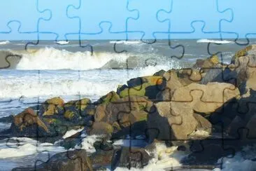 Tomada en la costa atlÃ¡ntica bonaerense. Argentina jigsaw puzzle