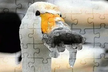 sees jigsaw puzzle