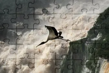 Cataratas del IguazÃº. Misiones. Argentina jigsaw puzzle