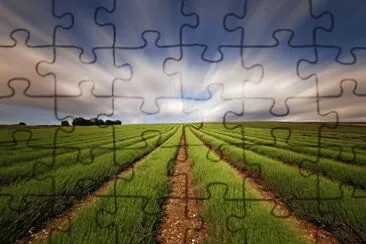 paisajes jigsaw puzzle