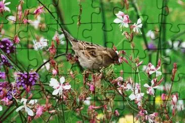 paisajes jigsaw puzzle