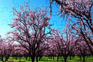 paisajes