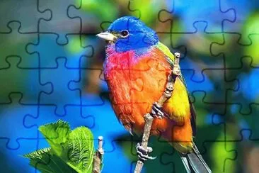 פאזל של paisajes