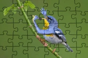 paisajes jigsaw puzzle