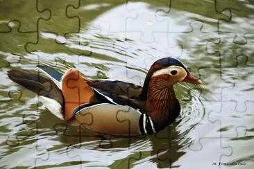 paisajes jigsaw puzzle