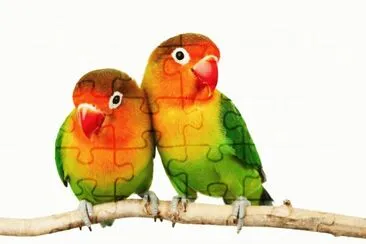 paisajes jigsaw puzzle