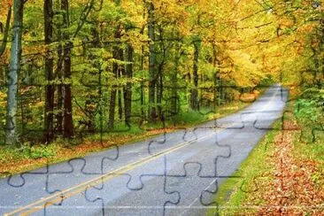 NÂº 653 jigsaw puzzle