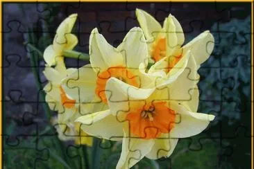 narcisse jigsaw puzzle