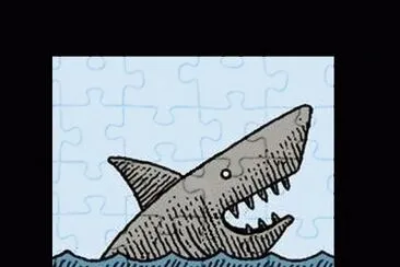 Shark Cartoon