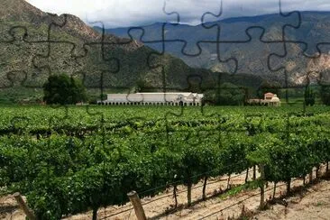 Cerca de Cafayate. Salta. Argentina