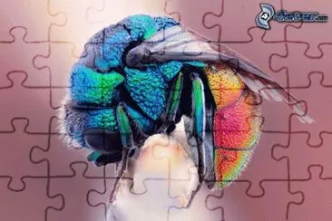 couleurs jigsaw puzzle