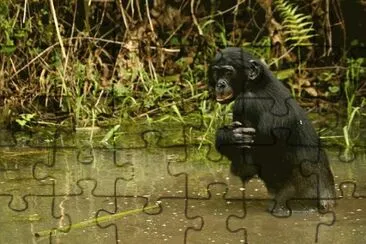 paisajes jigsaw puzzle