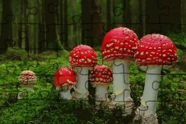 paisajes jigsaw puzzle