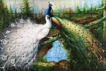 paisajes jigsaw puzzle