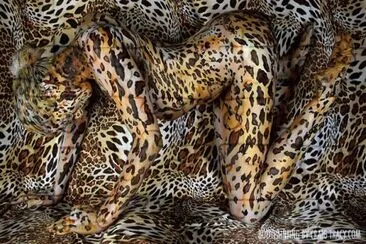 paisajes jigsaw puzzle