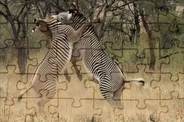 paisajes jigsaw puzzle