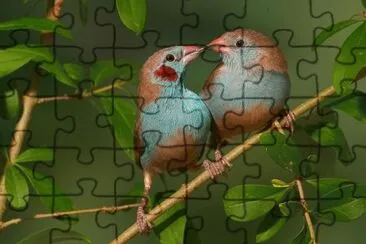 paisajes jigsaw puzzle