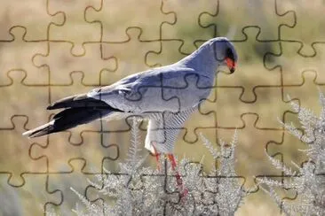 paisajes jigsaw puzzle