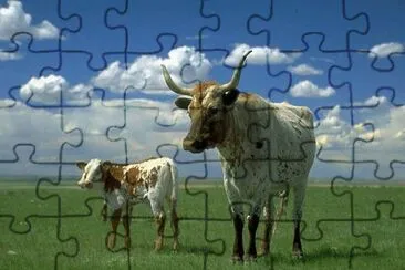 paisajes jigsaw puzzle
