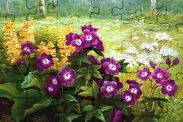 flores