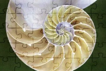 Natura