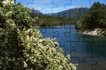 PN Los Alerces. Chubut. Argentina jigsaw puzzle