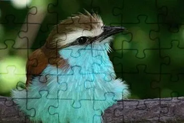 colorido jigsaw puzzle