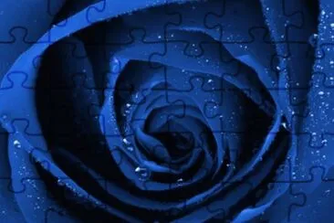 פאזל של blue rose