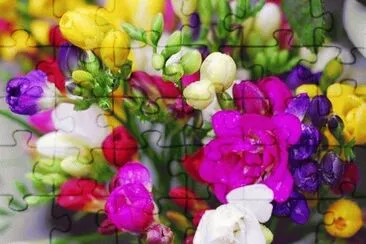 flores