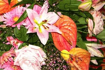 Flors