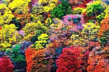 paisaje jigsaw puzzle