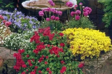 JardÃ¬