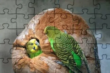 . jigsaw puzzle