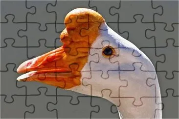 i9