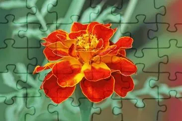 פאזל של paisajes