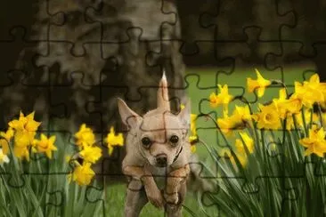 paisajes jigsaw puzzle