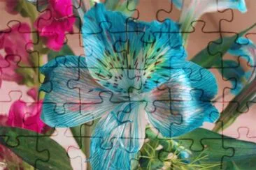 campo jigsaw puzzle