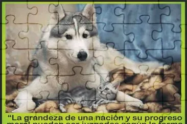 DEL TRATO ANIMAL...