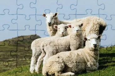 nueva zelanda national geographic jigsaw puzzle
