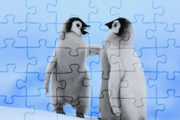 feb17 jigsaw puzzle