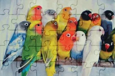 Periquitos jigsaw puzzle