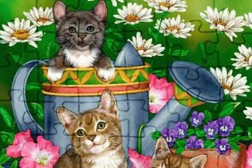 gatinhos
