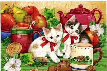 gatinhos