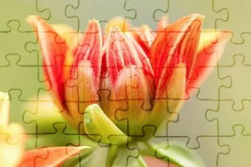 flores jigsaw puzzle