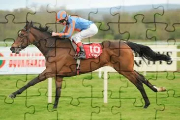 פאזל של Caballo de carrera