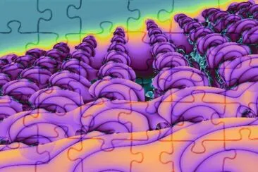 F20 jigsaw puzzle