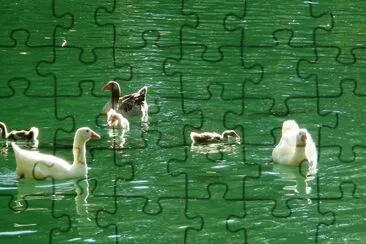 lago de anna