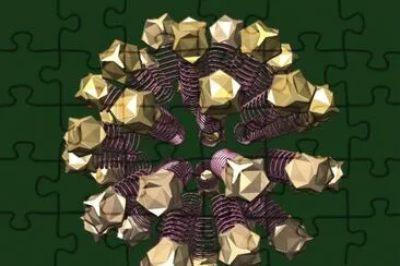 Fractal 37