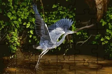 garza jigsaw puzzle